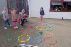IMG_20250227_141303_1
