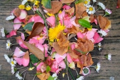 IMG_20250324_144526