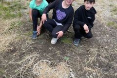 IMG-20240601-WA0042