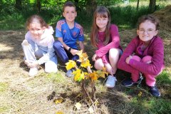 IMG_20240531_120025