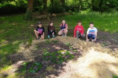IMG_20240531_120219