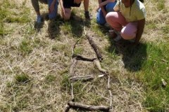IMG_20240531_120625