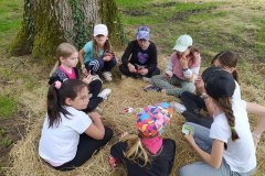 IMG_20240531_143556