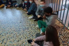 IMG_20211206_143340